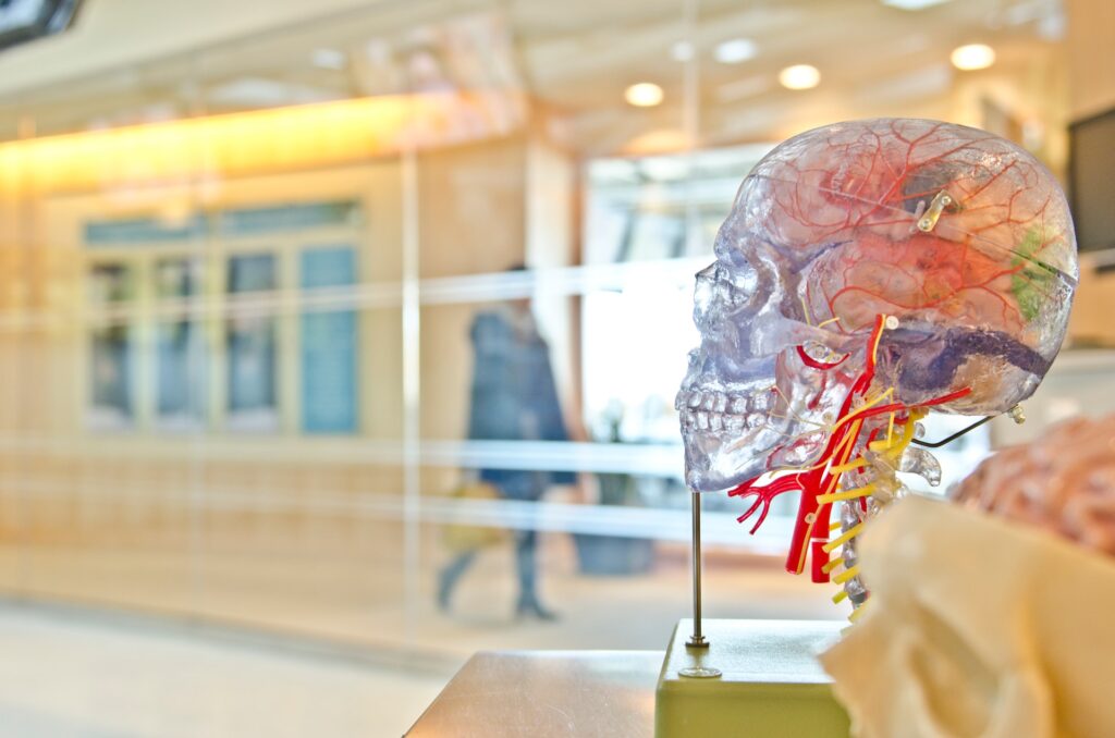 Best Neurosurgeon – Everything You Need to Know
