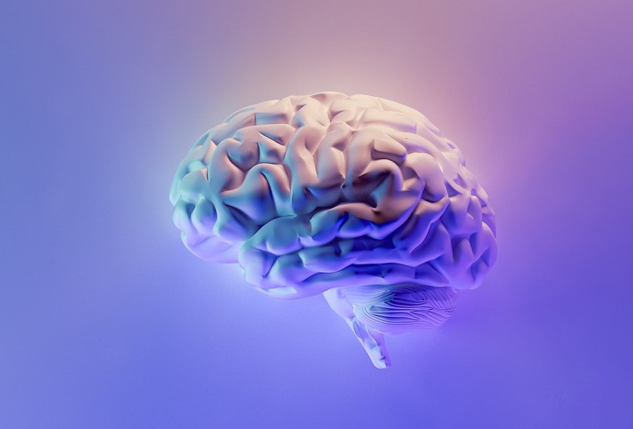 Best Neurosurgeon – Everything You Need to Know