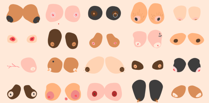 Do Areolas shrink with Weight Loss?