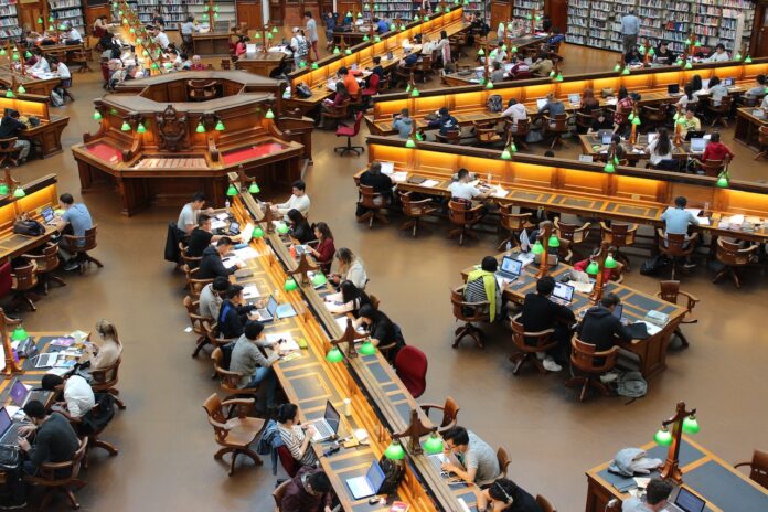 Best Medical schools in USA
