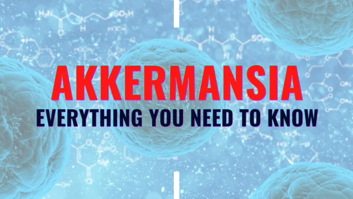 Akkermansia - Everything You Need to Know