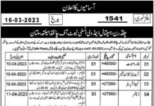 Children Hospital and Institute of Child Health Multan Latest Jobs Children Hospital and Institute of Child Health Multan