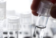 How Does the Egg Donation Process Work? America’s Best Egg Donation Agency